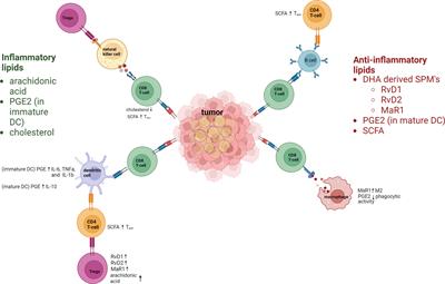 Lipid metabolism in tumor immunology and immunotherapy